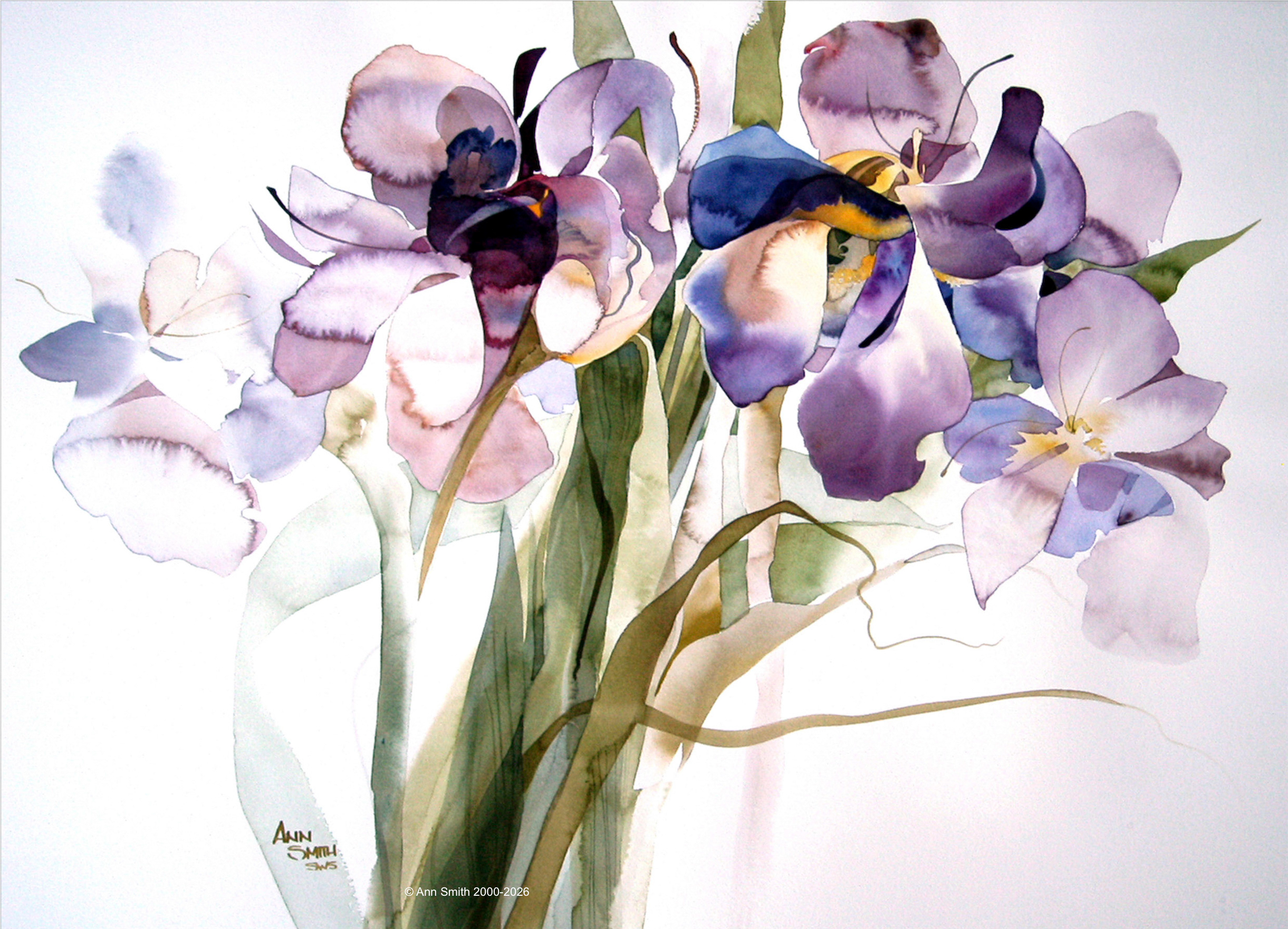 Irises